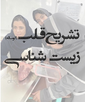 تشریح قلب گاو(گوساله)-زیست شناسی هفتم